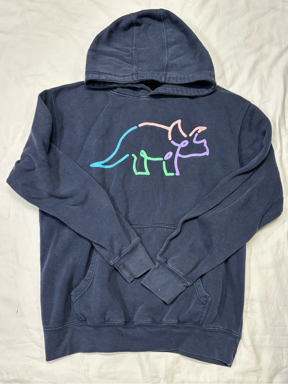 Navy Pullover Hoodie with Pastel Triceratops Graphic